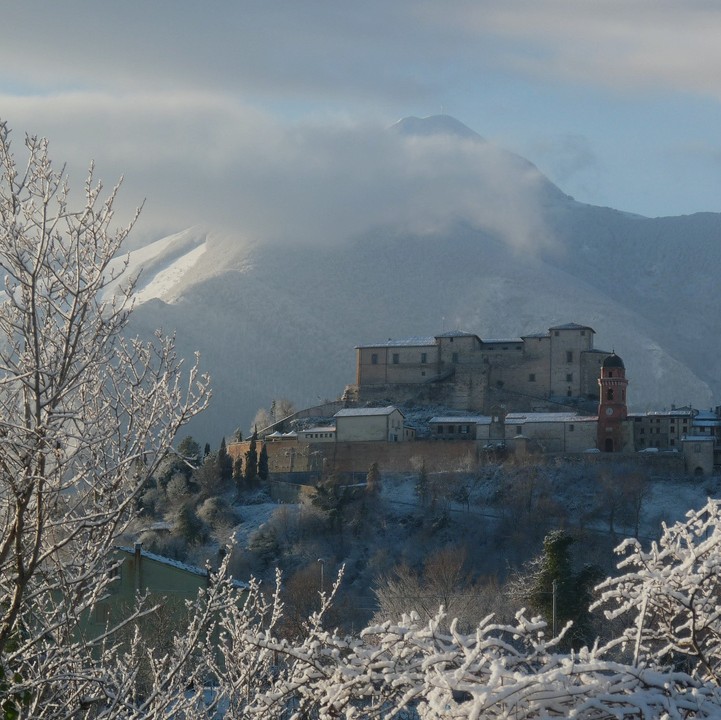 Natura & Foresta Fossile